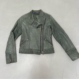 For Joseph Grey / Green / Blue Authentic Real Leather Racer Jacket